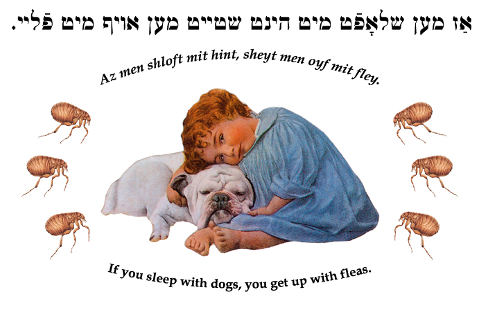 Yiddish: If you sleep with dogs, you get up with fleas.