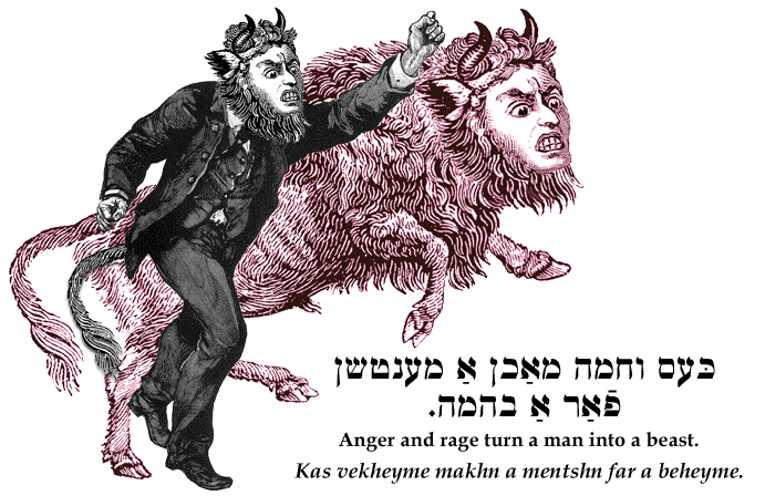 Yiddish: Anger and rage turn a man into a beast.
