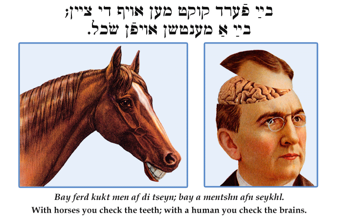 Yiddish: With horses you check the teeth; with a human you check the brains.