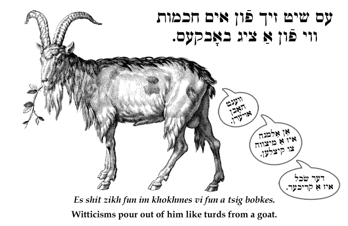 Yiddish: Witticisms pour out of him like turds from a goat.