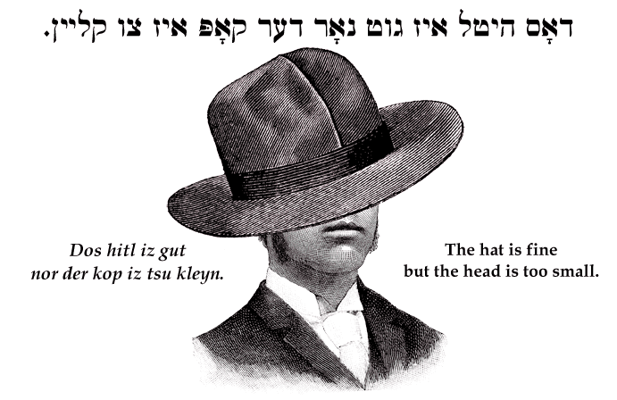 Yiddish: The hat is fine but the head is too small.