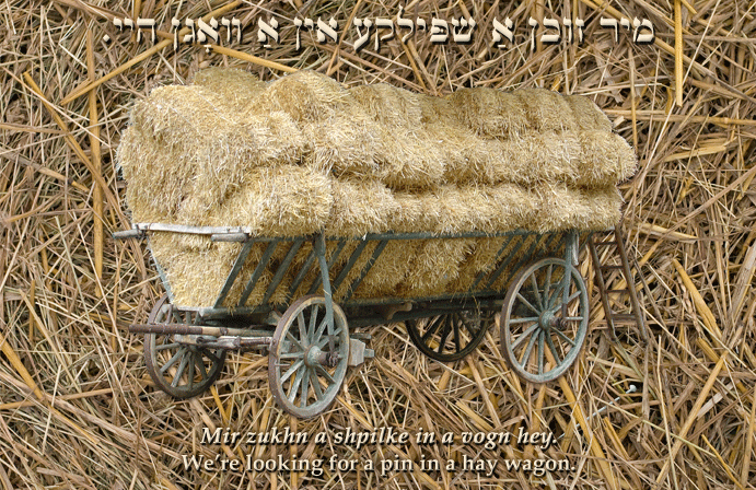 Yiddish: We're looking for a pin in a hay wagon.