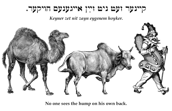 Yiddish: No one sees the hump on his own back.