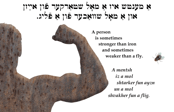 Yiddish: A person is sometimes stronger than iron and sometimes weaker than a fly.