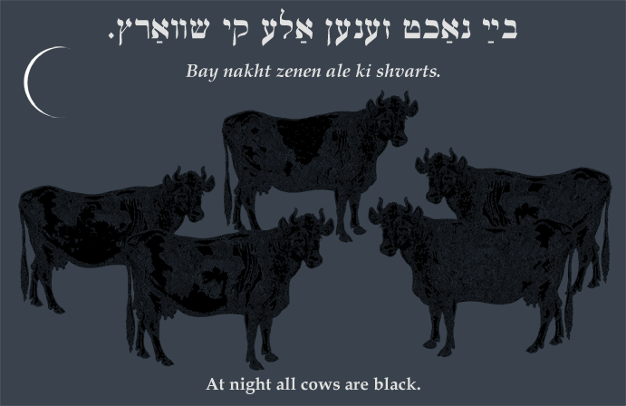 Yiddish: At night all cows are black.