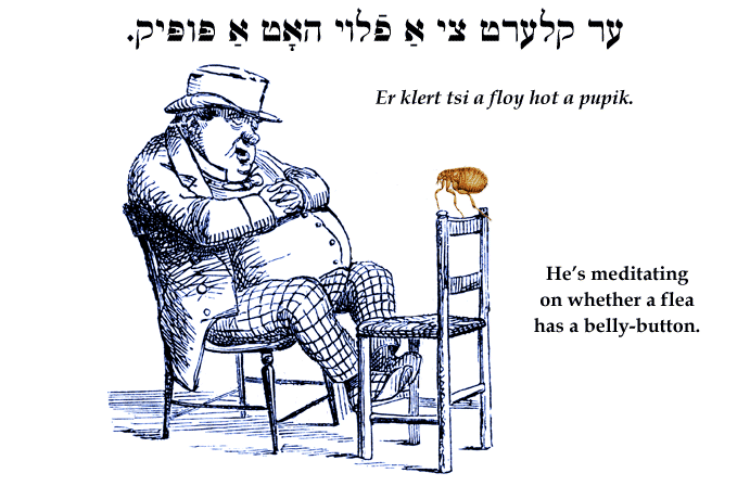Yiddish: He's meditating on whether a flea has a belly-button.