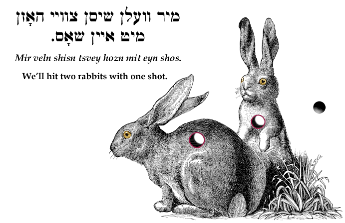 Yiddish: We'll hit two rabbits with one shot.
