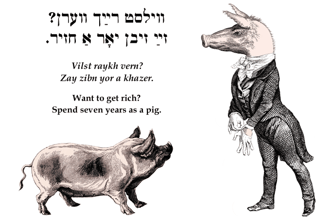 Yiddish: Want to get rich? Spend seven years as a pig.