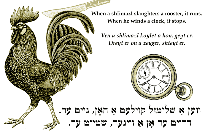 Yiddish: When a shlimazl slaughters a rooster, it runs. When he winds a clock, it stops.