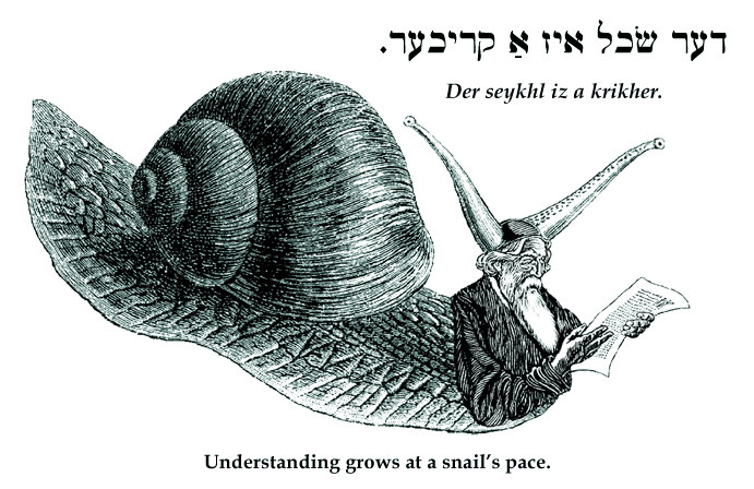 Yiddish: Understanding grows at a snail's pace.