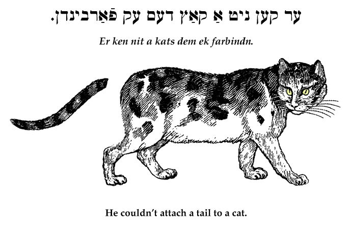 Yiddish: He couldn't attach a tail to a cat.