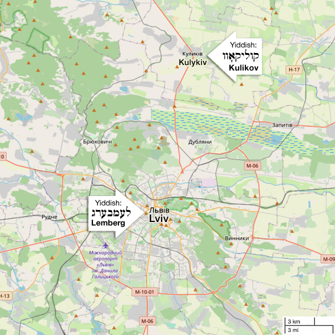 map of Lviv and Kulykiv, Ukraine