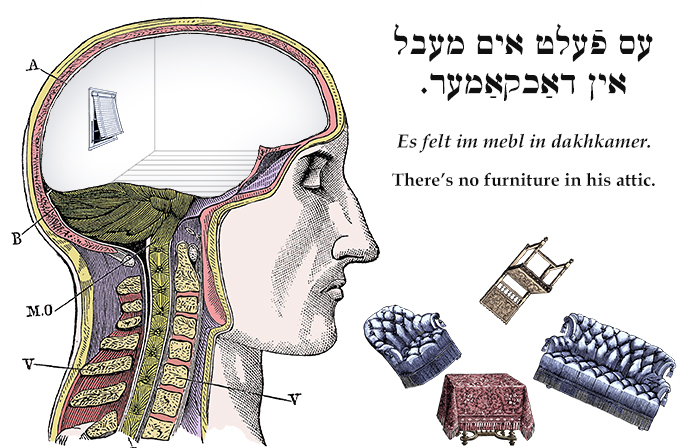 Yiddish: There's no furniture in his attic.