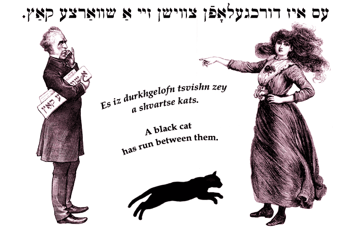 Yiddish: A black cat has run between them.