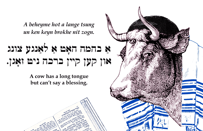 Yiddish: A cow has a long tongue but can't say a blessing.