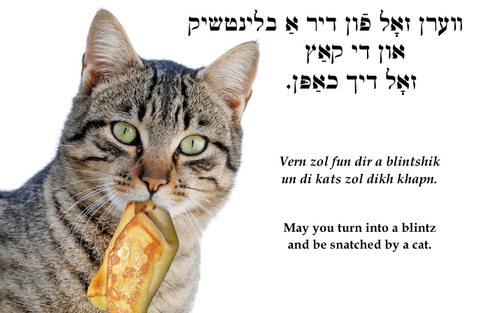 Yiddish: May you turn into a blintz and be snatched by a cat.