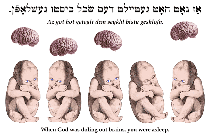 Yiddish: When God was doling out brains, you were asleep.