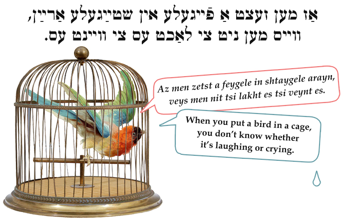 Yiddish: When you put a bird in a cage, you don't know whether it's laughing or crying.