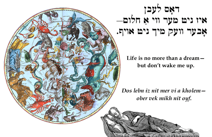 Yiddish: Life is no more than a dream—but don't wake me up.
