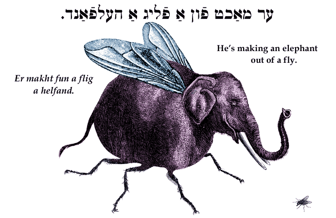 Yiddish: He's making an elephant out of a fly.