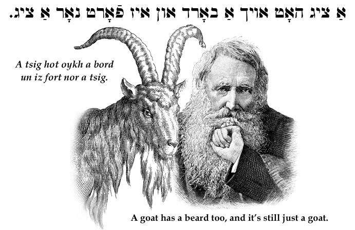 Yiddish: A goat has a beard too, and it's still just a goat.