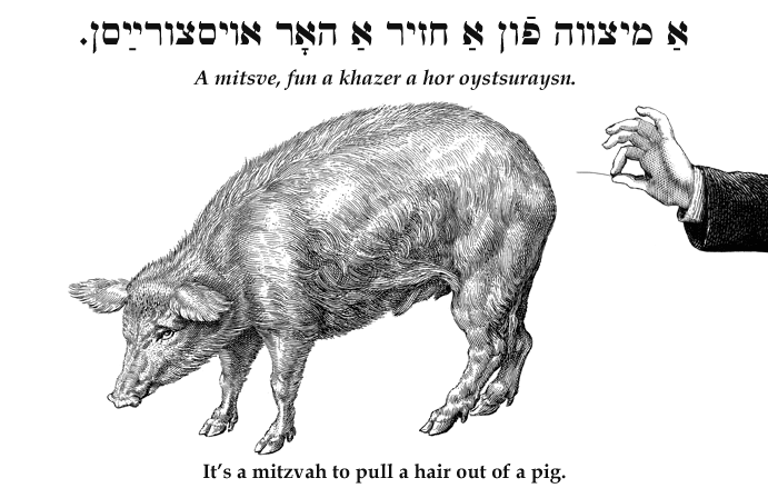 Yiddish: It's a mitzvah to pull a hair out of a pig.