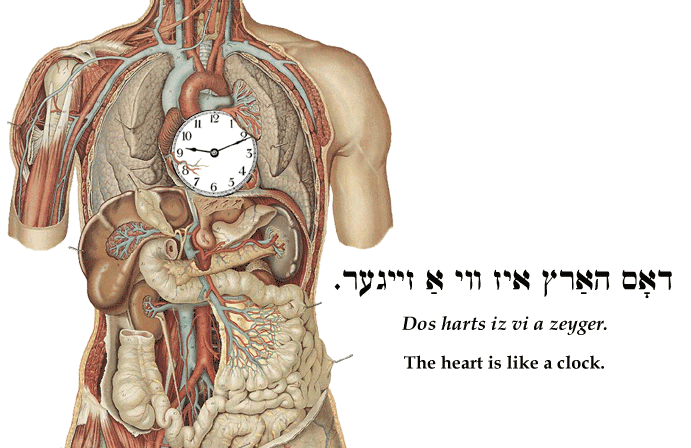 Yiddish: The heart is like a clock.