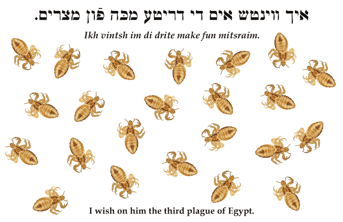 Yiddish: I wish on him the third plague of Egypt.