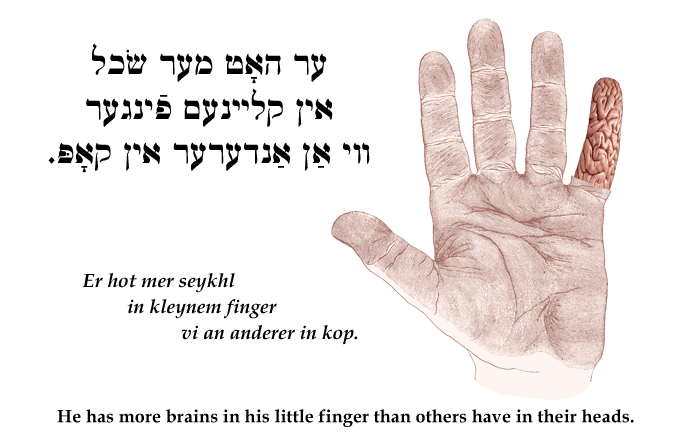 Yiddish: He has more brains in his little finger than others have in their heads.