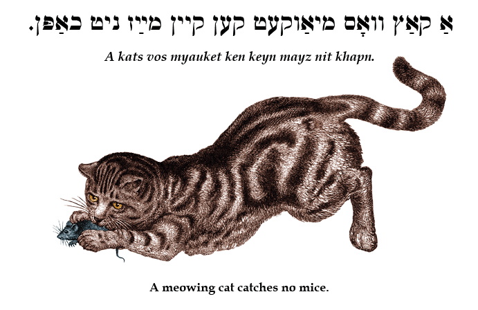 Yiddish: A meowing cat catches no mice.