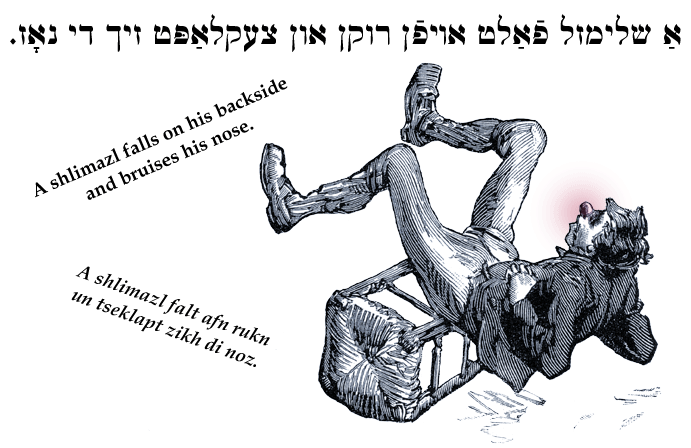 Yiddish: A shlimazl falls on his backside and bruises his nose.