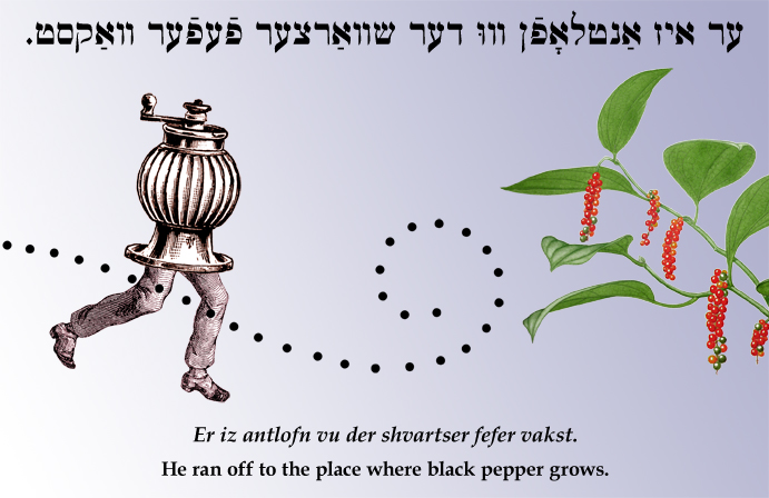Yiddish: He ran off to the place where black pepper grows.