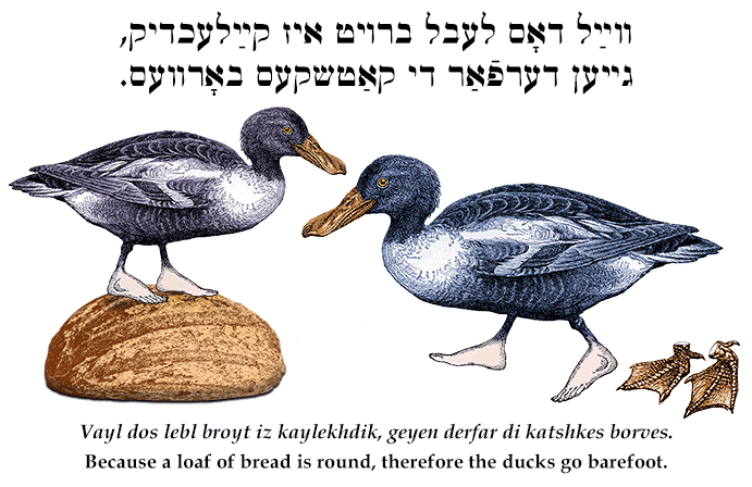 Yiddish: Because a loaf of bread is round, therefore the ducks go barefoot.