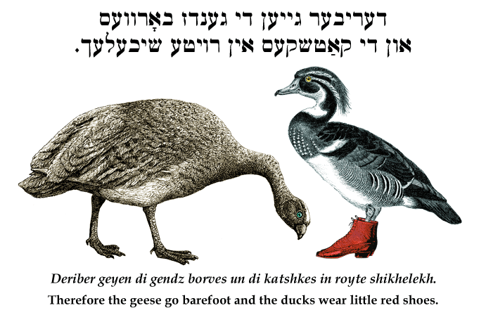 Yiddish: Therefore the geese go barefoot and the ducks wear little red shoes.