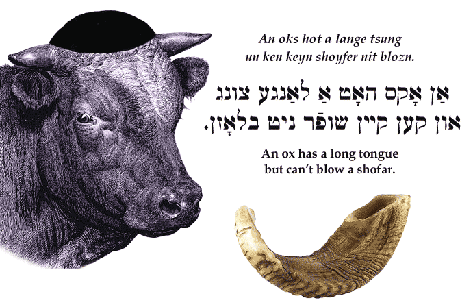 Yiddish: An ox has a long tongue but can't blow a shofar.