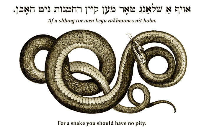 Yiddish: For a snake you should have no pity.