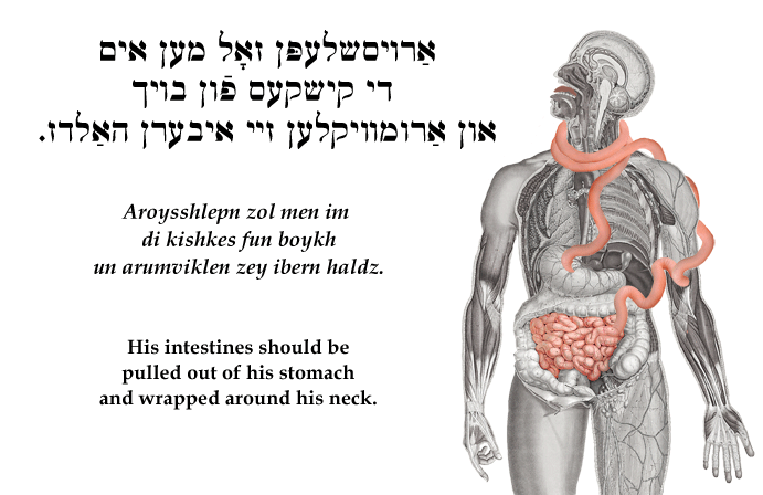 Yiddish: His intestines should be pulled out of his stomach and wrapped around his neck.