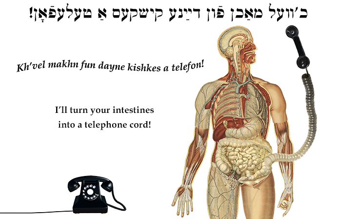 Yiddish: I’ll turn your intestines into a telephone cord!