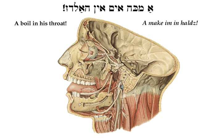 Yiddish: A boil in his throat!