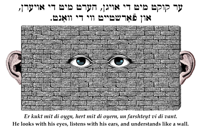 Yiddish: He looks with his eyes, listens with his ears, and understands like a wall.