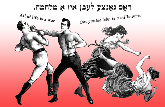 Yiddish: All of life is a war.