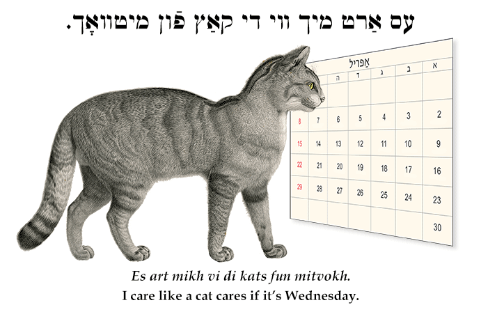 Yiddish: I care like a cat cares if it's Wednesday.