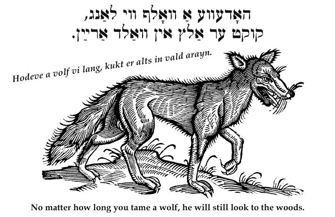 Yiddish: No matter how long you tame a wolf, he will still look to the woods.